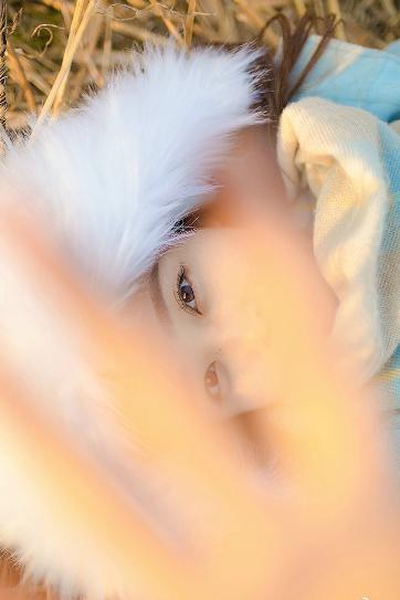 度华年电视剧在线观看免费高清版