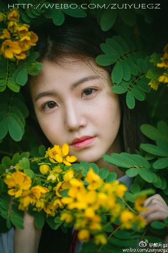 国产免费观看高清电视剧在线最新