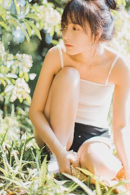 电视剧免费观看高清完整版在线观看