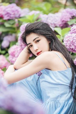 凤凰台上电视剧免费观看