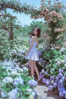 金瓶梅电影在线观看