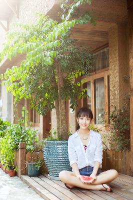 莲花楼电视剧免费观看完整版