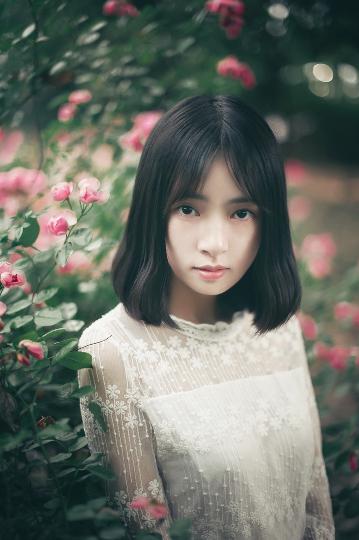 继续播放免费观看最新一期高清