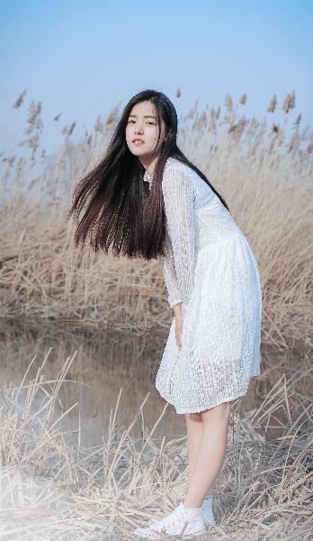 免费观看国语高清电视剧