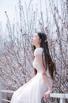 新奥天天彩最精准大全