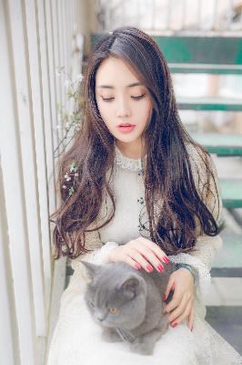 影视版权申请流程及费用