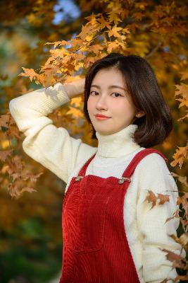 锦月如歌电视剧免费观看