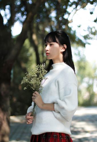 老舅电视剧全集免费观看高清