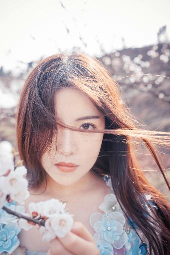 征服电视剧免费观看全集