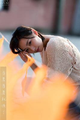 现在就出发第三季完整版免费观看