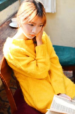 会长是女仆大人动漫完整版