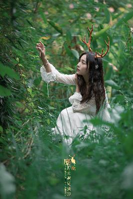 韩国禁欲系高级感电影