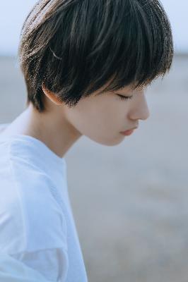 宴遇永安电视剧免费观看全集完整版