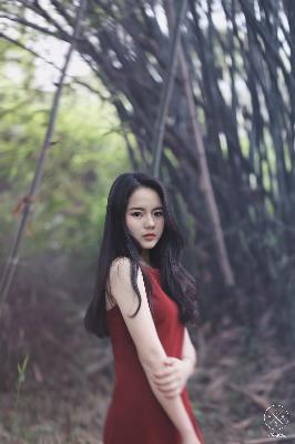 莫离电视剧免费观看全集高清