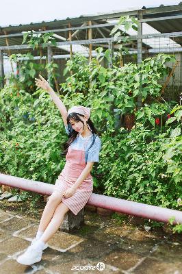 会长是女仆大人动漫完整版